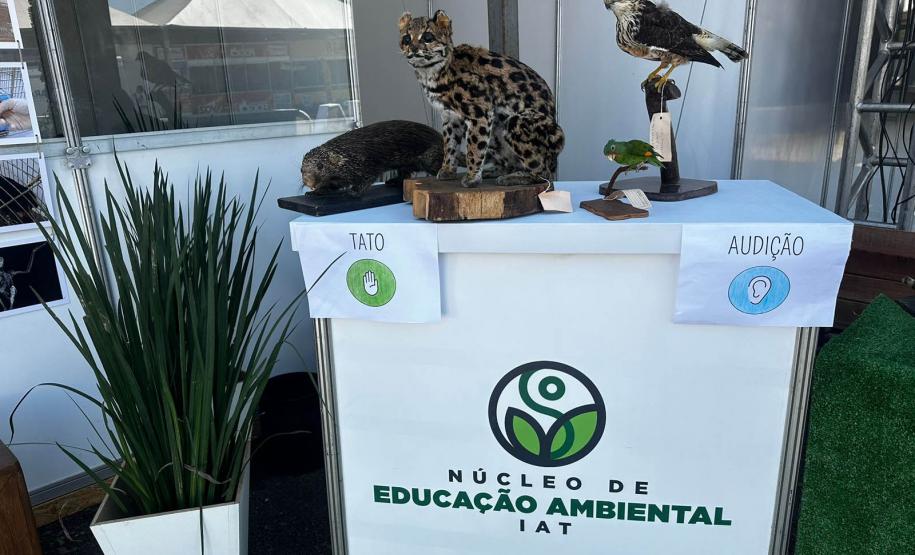 IAT promove a inclusão social e ambiental por meio dos jardins sensoriais