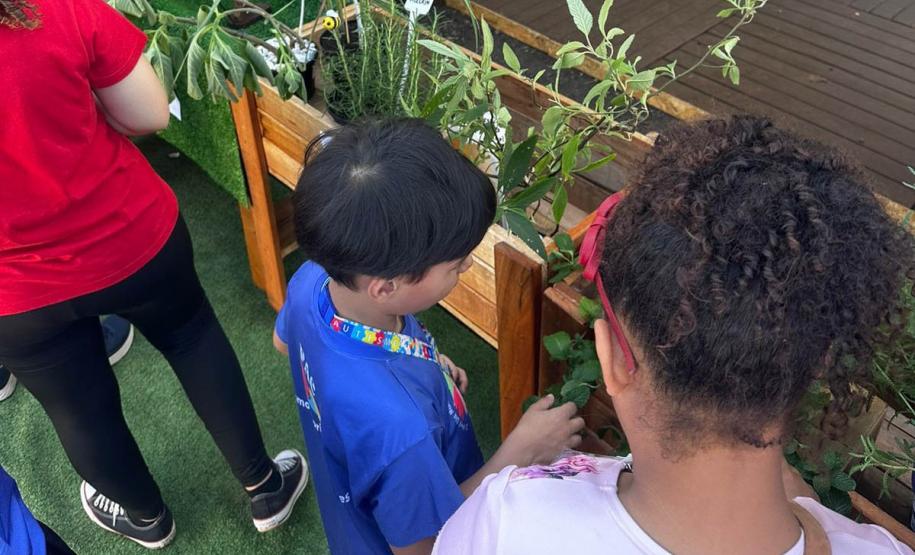 IAT promove a inclusão social e ambiental por meio dos jardins sensoriais