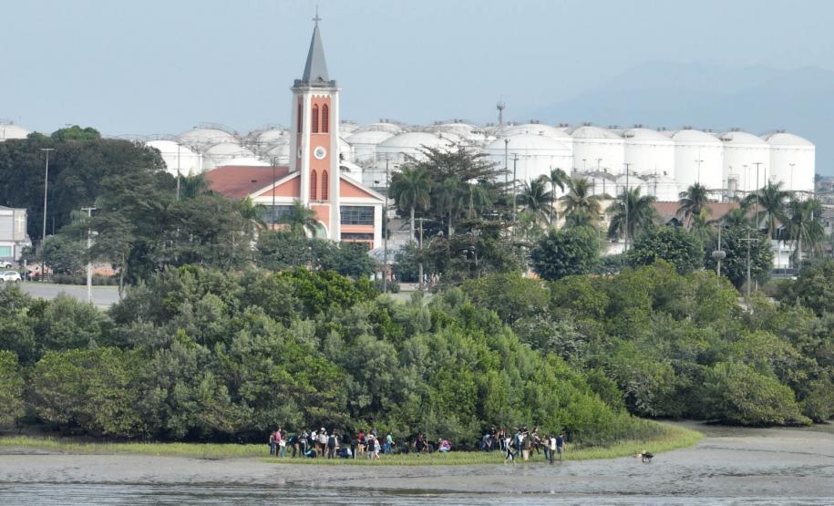 Recomposição dos manguezais na região da baía de Paranaguá.