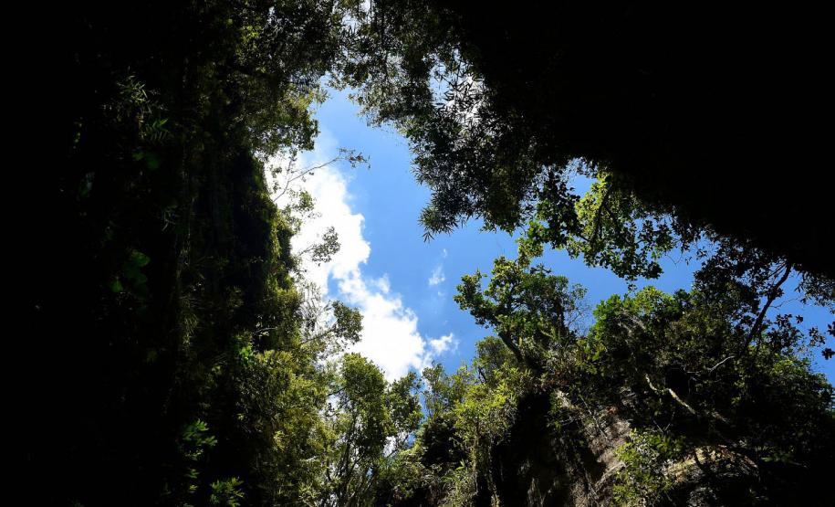 Com mais de 300 mil pessoas, UCs do Paraná quebram recorde de visitas no 1º semestre