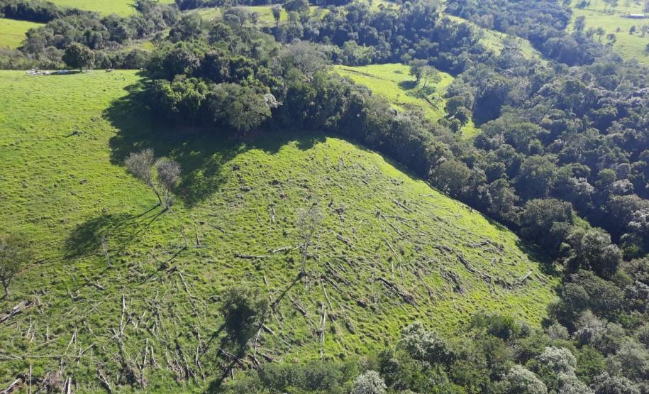 Ação integrada do IAT verificou focos de desmatamento em 43 municípios de diferentes regiões do Paraná