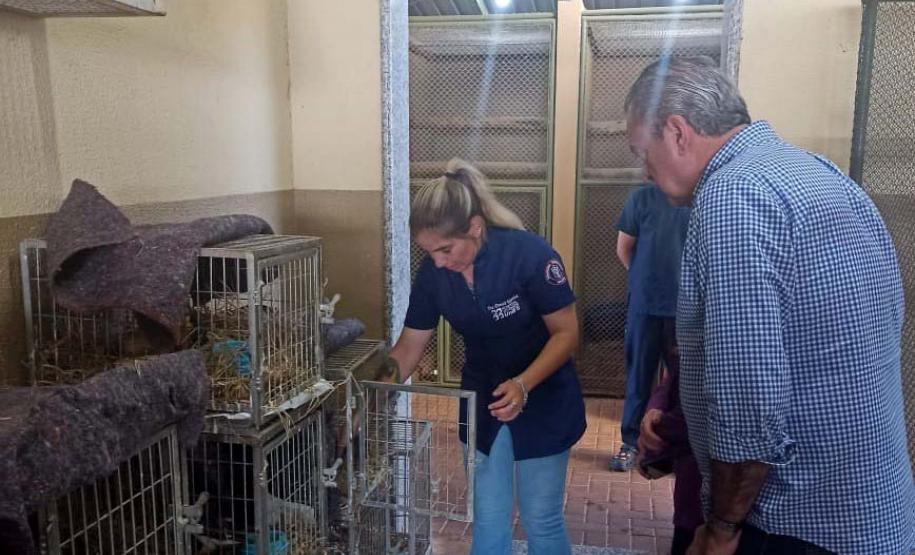 IAT e Unifil renovaram o convênio para atendimento à fauna silvestre: novo vínculo é de cinco anos.