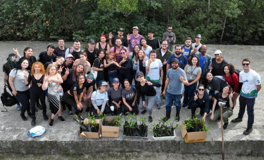 Recomposição dos manguezais na região da baía de Paranaguá.