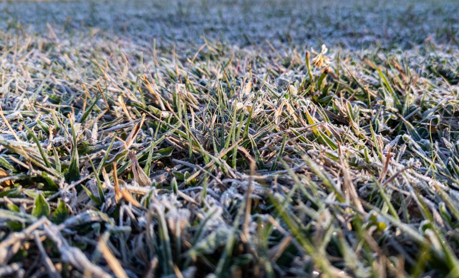 Recorde de frio: 18 cidades do Paraná registram a temperatura mais baixa do ano