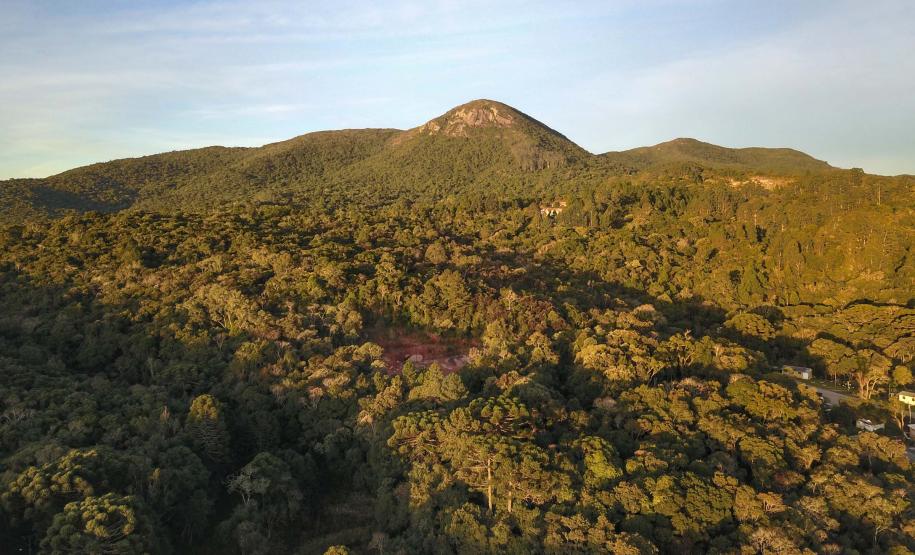 Paraná é o Estado mais sustentável do Brasil, aponta Ranking de Competitividade.