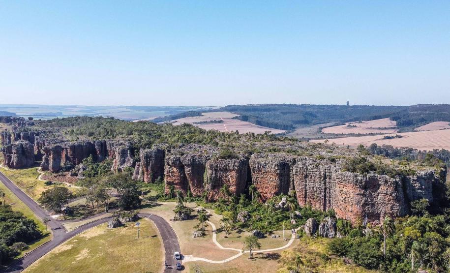 Animais ameaçados de extinção voltam a frequentar o Parque Estadual de Vila Velha