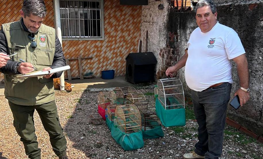 IAT apreende sete pássaros mantidos em cativeiro irregular em Curitiba