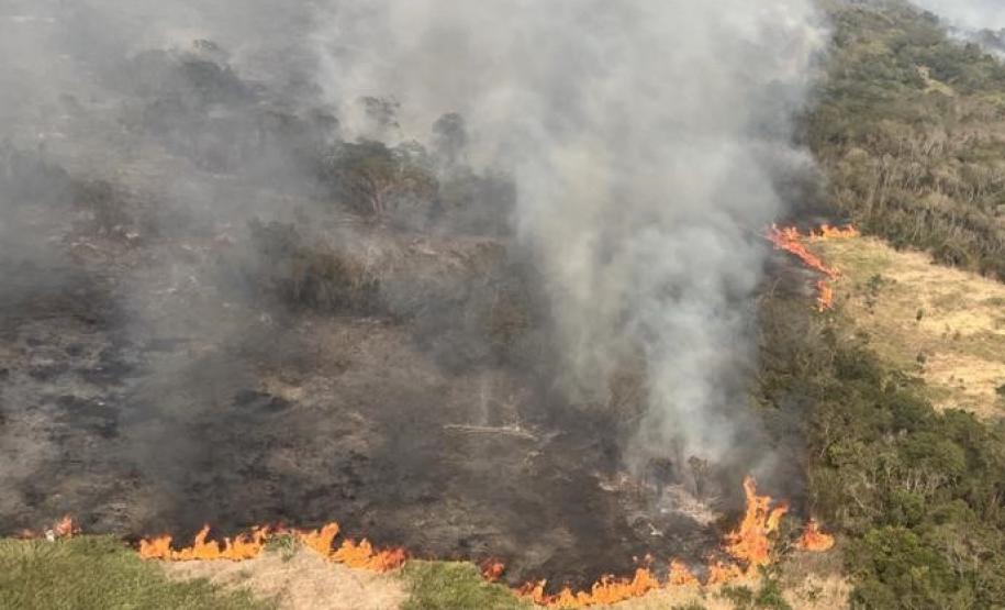 Apesar das queimadas, qualidade do ar se mantém em níveis aceitáveis no Paraná.