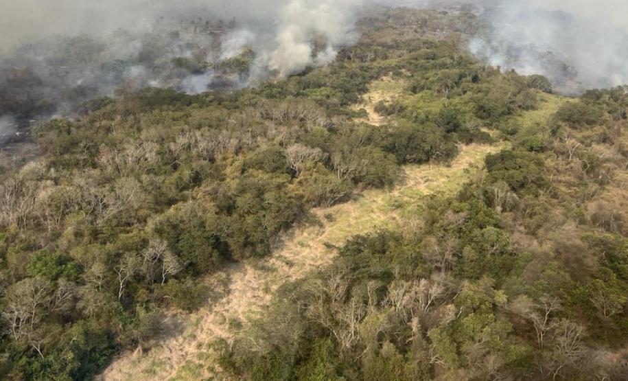 Apesar das queimadas, qualidade do ar se mantém em níveis aceitáveis no Paraná.