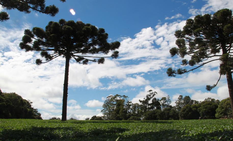 Paraná é o Estado mais sustentável do Brasil, aponta Ranking de Competitividade.