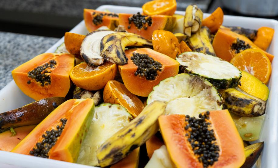 Parceria entre IAT e Ceasa-PR encaminha cerca de 29 toneladas de frutas, verduras e legumes para o Criadouro Onça Pintada, em Campina Grande do Sul