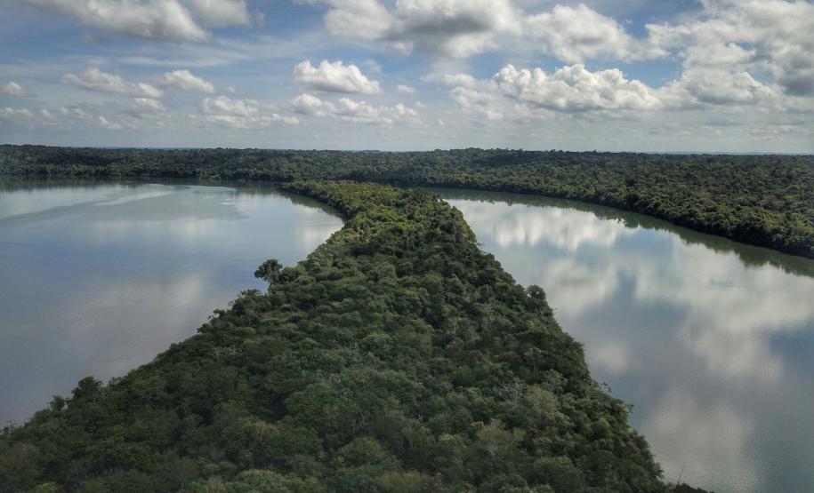 Paraná é o Estado mais sustentável do Brasil, aponta Ranking de Competitividade