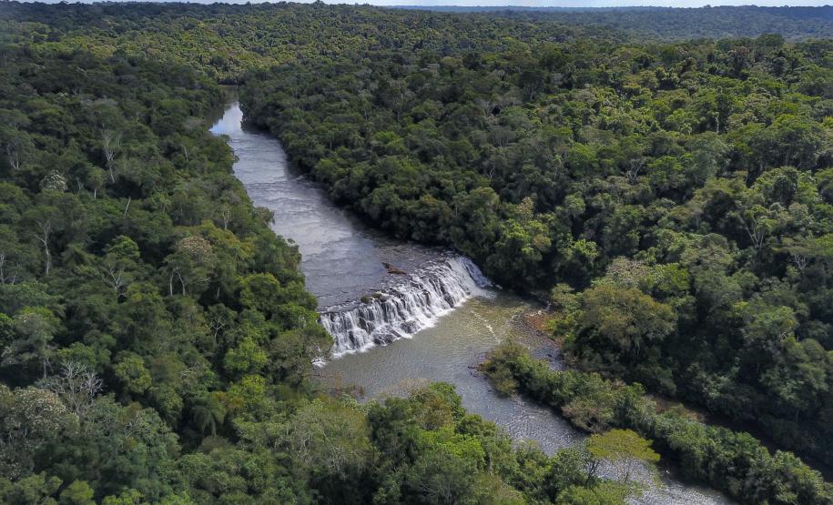 Paraná é o Estado mais sustentável do Brasil, aponta Ranking de Competitividade