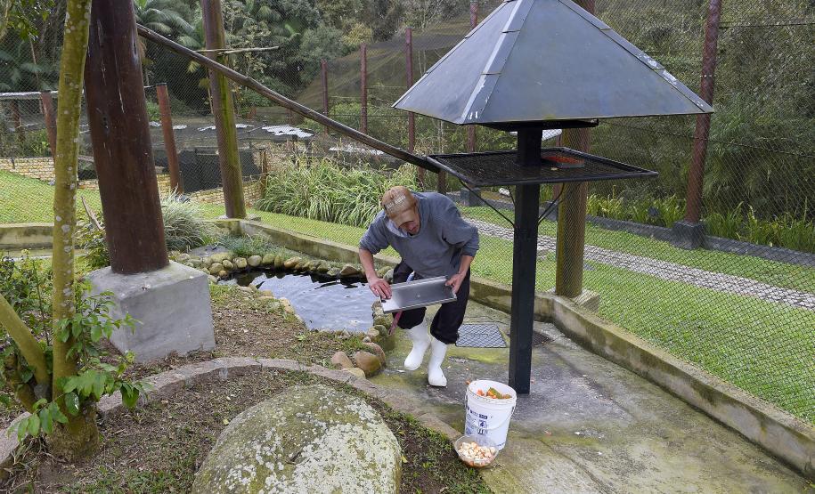 Parceria entre IAT e Ceasa-PR encaminha cerca de 29 toneladas de frutas, verduras e legumes para o Criadouro Onça Pintada, em Campina Grande do Sul