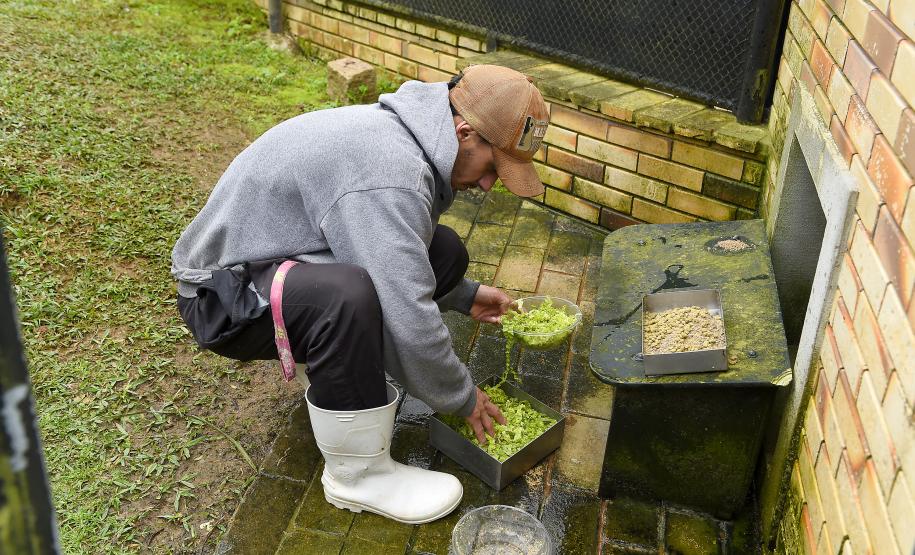 Parceria entre IAT e Ceasa-PR encaminha cerca de 29 toneladas de frutas, verduras e legumes para o Criadouro Onça Pintada, em Campina Grande do Sul