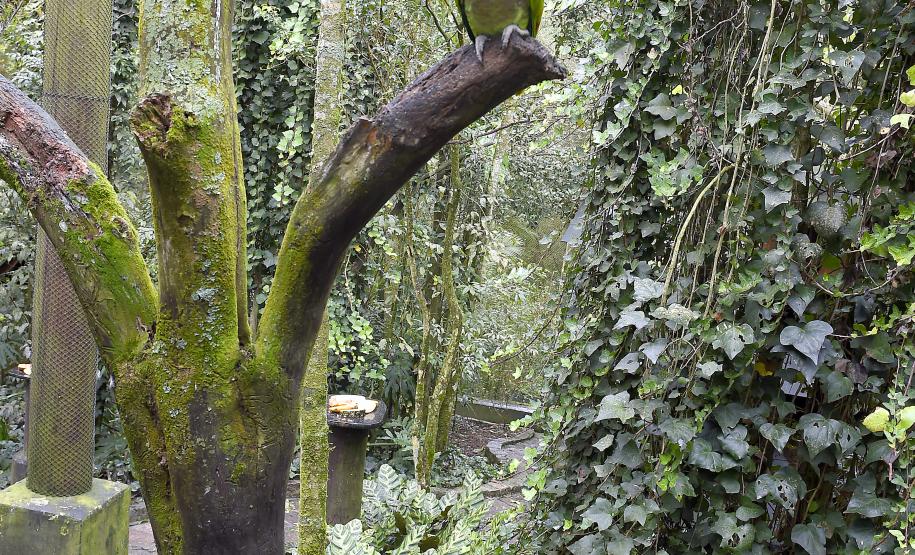 Parceria entre IAT e Ceasa-PR encaminha cerca de 29 toneladas de frutas, verduras e legumes para o Criadouro Onça Pintada, em Campina Grande do Sul