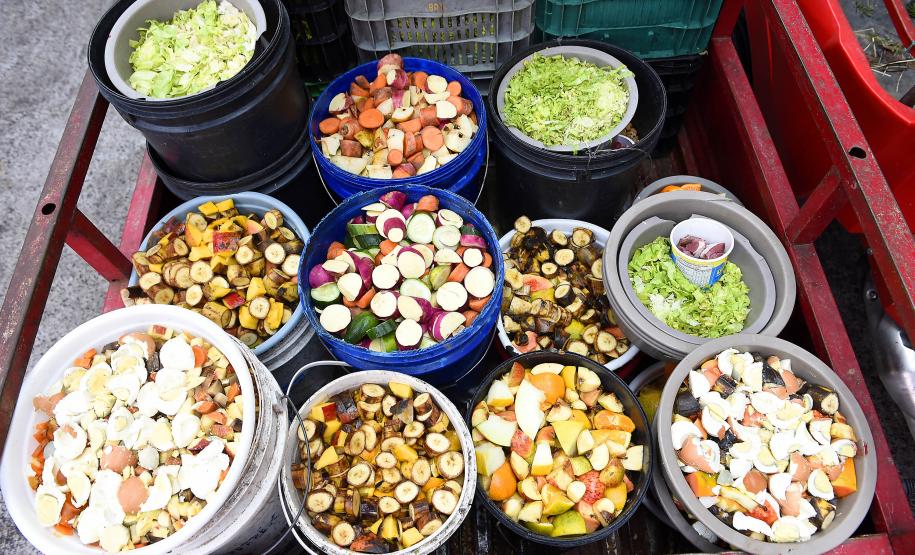 Parceria entre IAT e Ceasa-PR encaminha cerca de 29 toneladas de frutas, verduras e legumes para o Criadouro Onça Pintada, em Campina Grande do Sul
