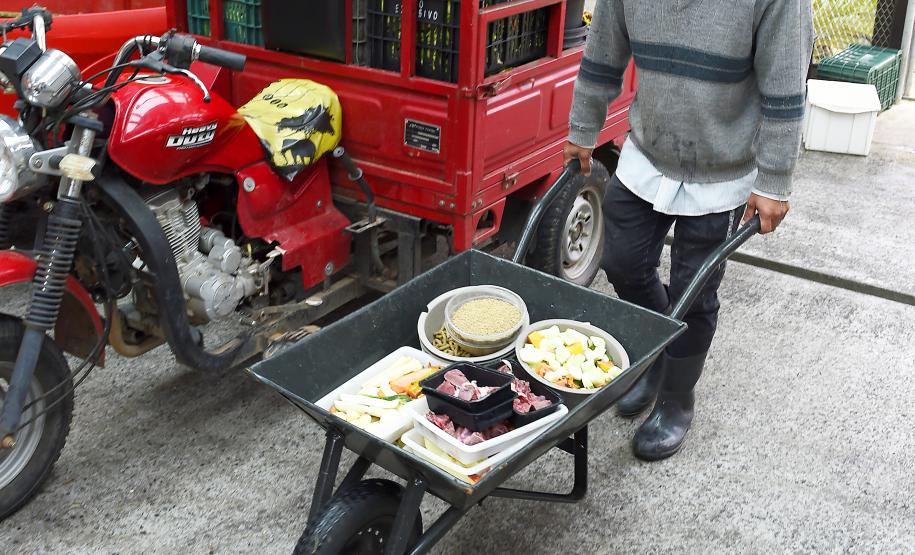Parceria entre IAT e Ceasa-PR encaminha cerca de 29 toneladas de frutas, verduras e legumes para o Criadouro Onça Pintada, em Campina Grande do Sul
