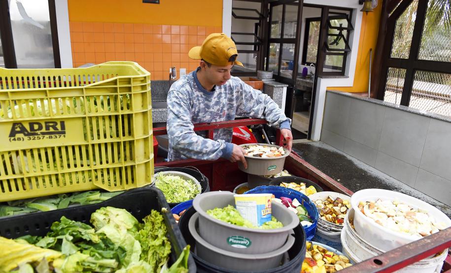 Parceria entre IAT e Ceasa-PR encaminha cerca de 29 toneladas de frutas, verduras e legumes para o Criadouro Onça Pintada, em Campina Grande do Sul