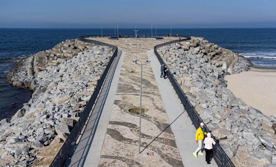 Recuperação da restinga na orla de Matinhos ajuda a manter biodiversidade do ecossistema