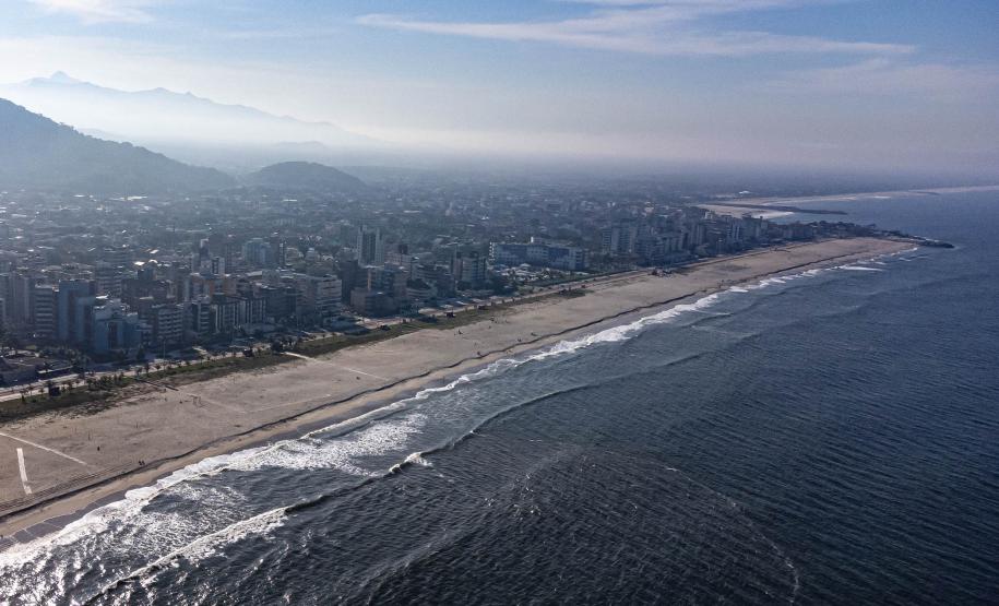 Recuperação da restinga na orla de Matinhos ajuda a manter biodiversidade do ecossistema