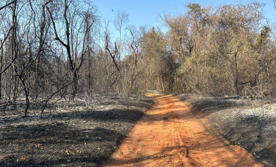 IAT ajuda a combater três novos focos de incêndio florestal no Paraná