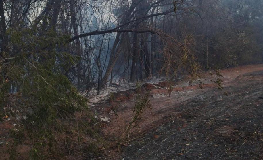 Caminhões-pipa fornecidos pelo Estado ajudam a combater incêndio florestal em Cianorte