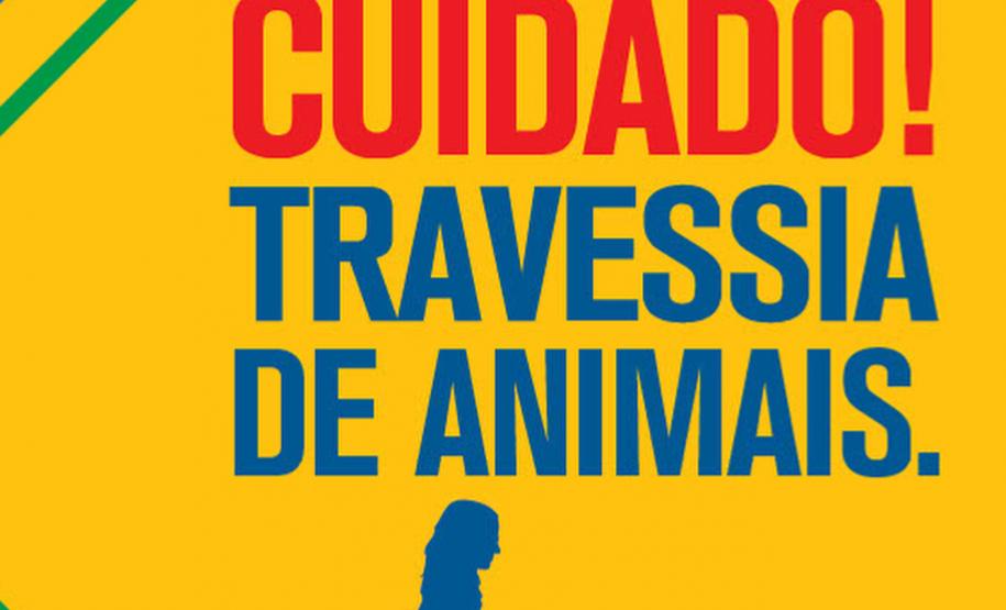 IAT: 66 municípios terão placas educativas de cuidado de pets e animais silvestres