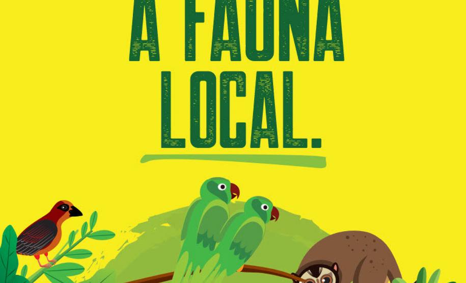 IAT: 66 municípios terão placas educativas de cuidado de pets e animais silvestres