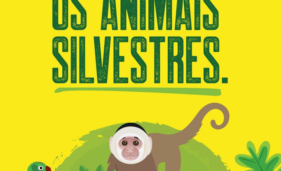 IAT: 66 municípios terão placas educativas de cuidado de pets e animais silvestres