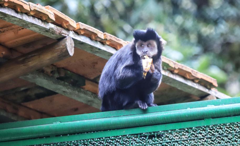 Paraná é o Estado mais sustentável do Brasil, aponta Ranking de Competitividade