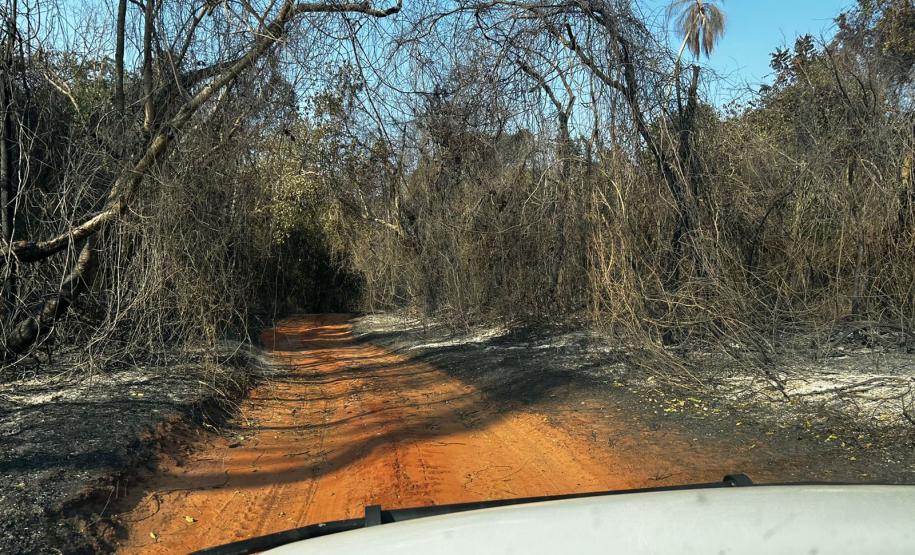 Fogo atingiu uma parte pequena do Parque Estadual de Vila Velha, em Ponta Grossa