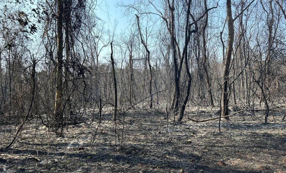 Helicóptero do IAT vai reforçar combate a incêndio florestal em Maria Helena