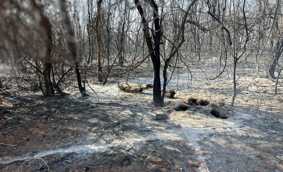 Fogo atingiu uma parte pequena do Parque Estadual de Vila Velha, em Ponta Grossa