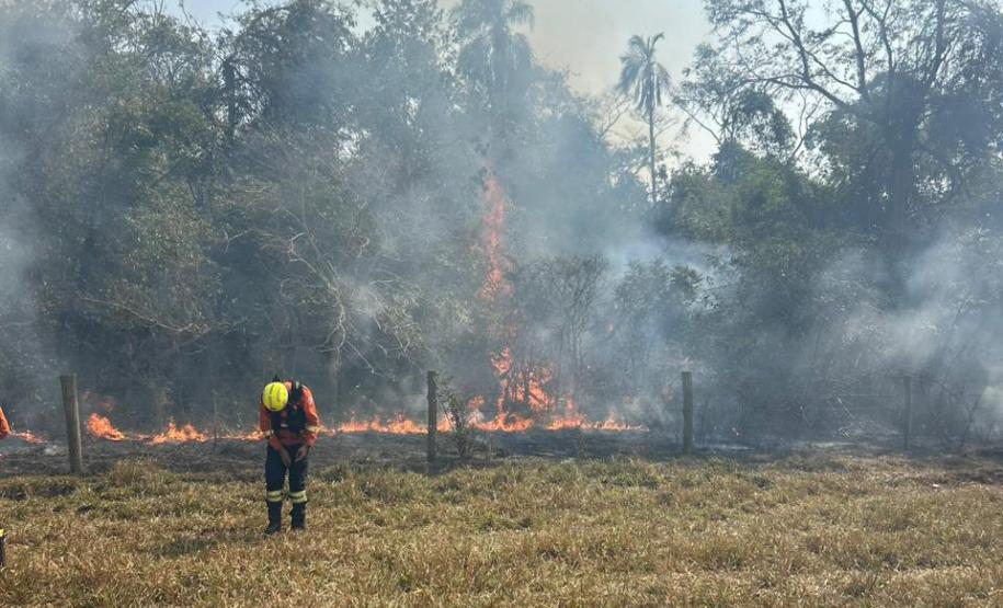 Fogo atingiu uma parte pequena do Parque Estadual de Vila Velha, em Ponta Grossa