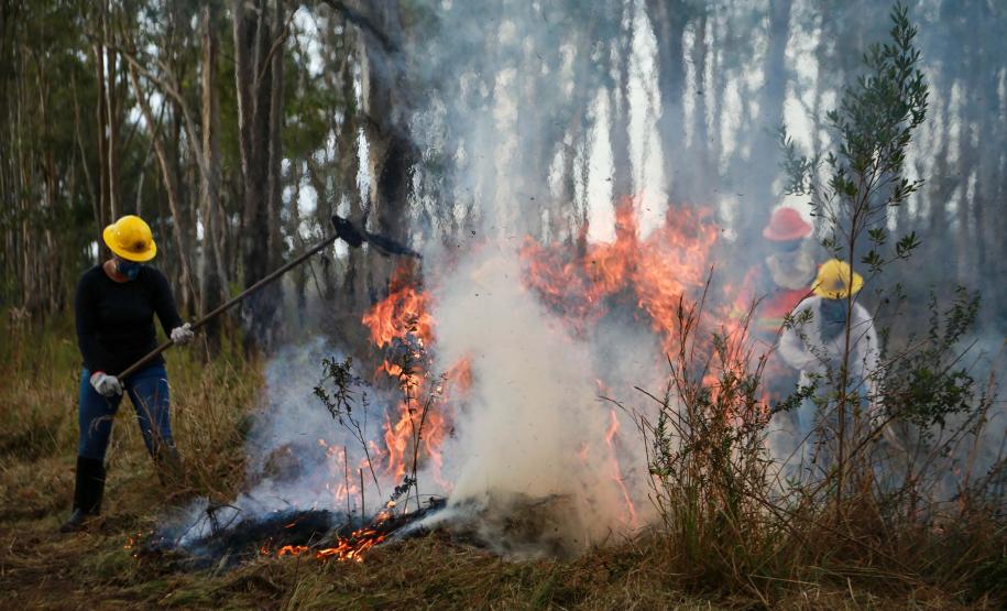 IAT emite alerta para risco elevado de incêndio em Unidades de Conservação