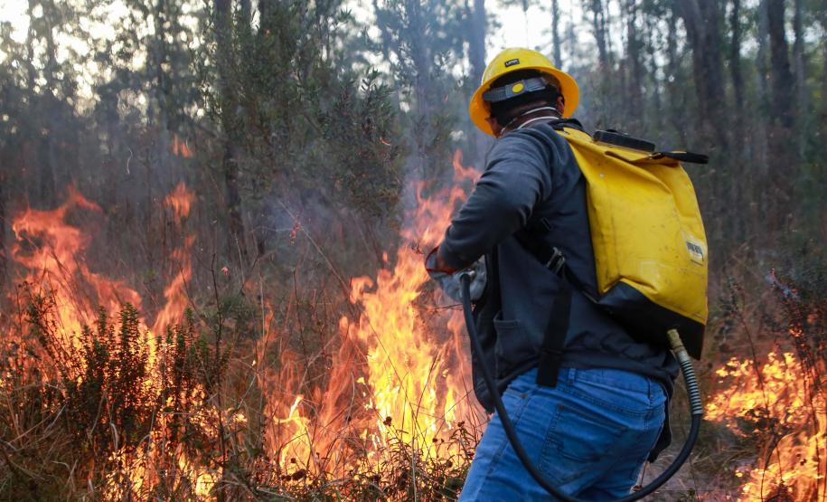 IAT emite alerta para risco elevado de incêndio em Unidades de Conservação