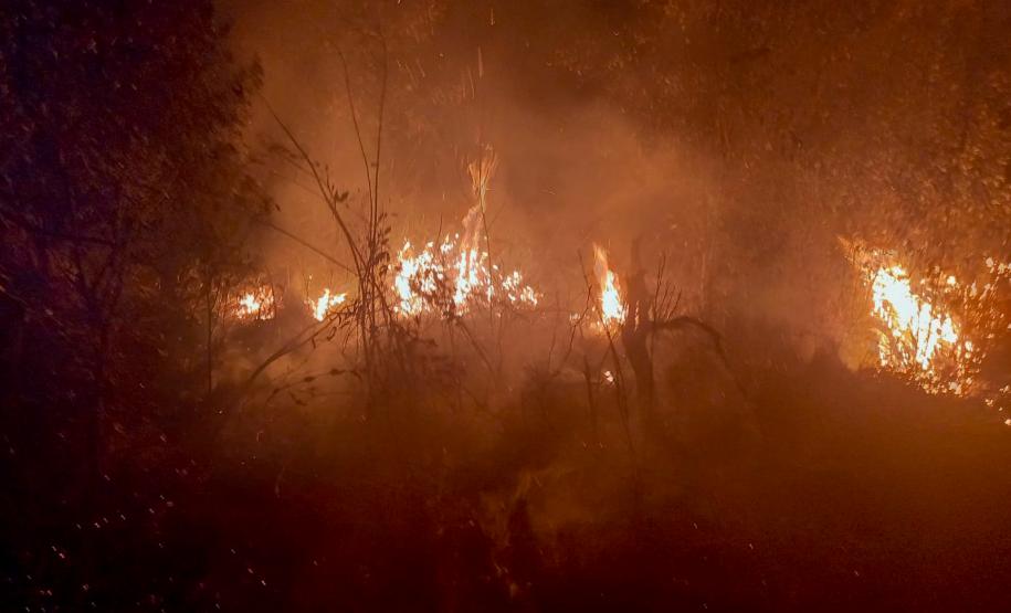 IAT emite alerta para risco elevado de incêndio em Unidades de Conservação