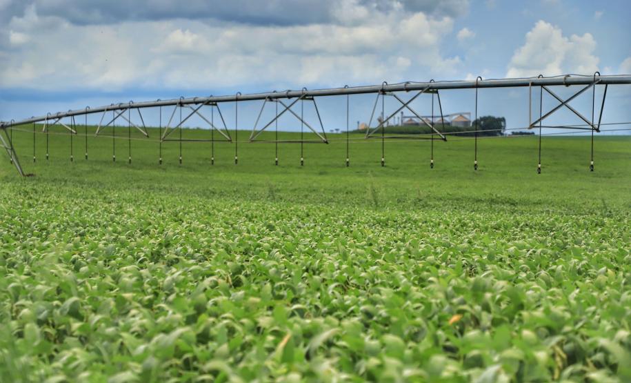 Paraná é o Estado mais sustentável do Brasil, aponta Ranking de Competitividade