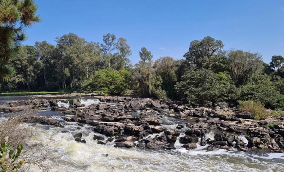 Com 16 hectares de área, Estado vai implementar três parques para proteger o Rio Iguaçu