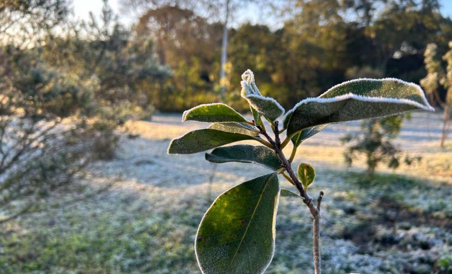 15 cidades com temperatura abaixo de zero e -5,3°C: 13 de agosto foi o dia mais frio do ano