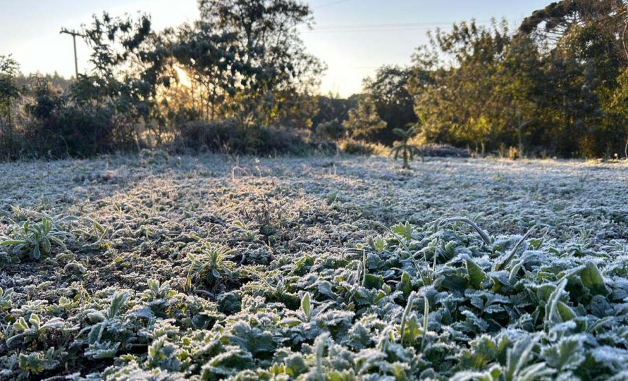 15 cidades com temperatura abaixo de zero e -5,3°C: 13 de agosto foi o dia mais frio do ano