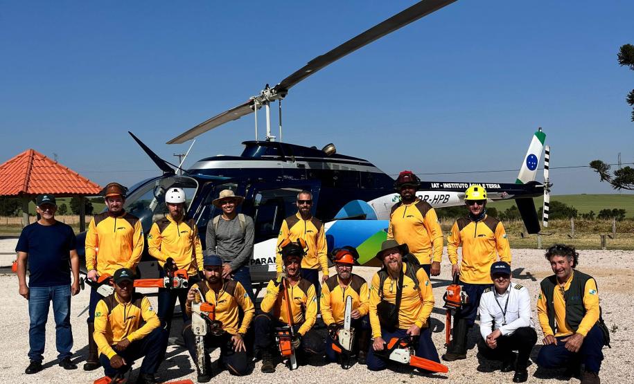 Com apoio de voluntários e helicóptero, IAT retira 58 hectares de pinus do Guartelá