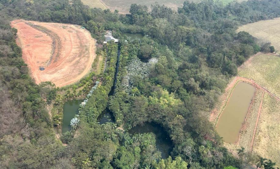 IAT cria metodologia para reestabelecer fauna em área incendiada mês passado