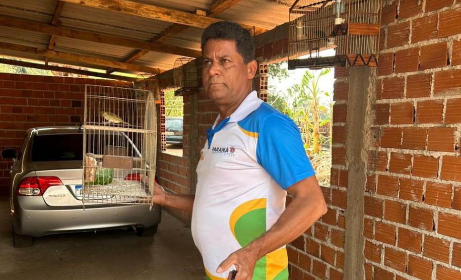Técnicos do IAT aprenderam 15 aves em criadouros irregulares no Noroeste do Paraná