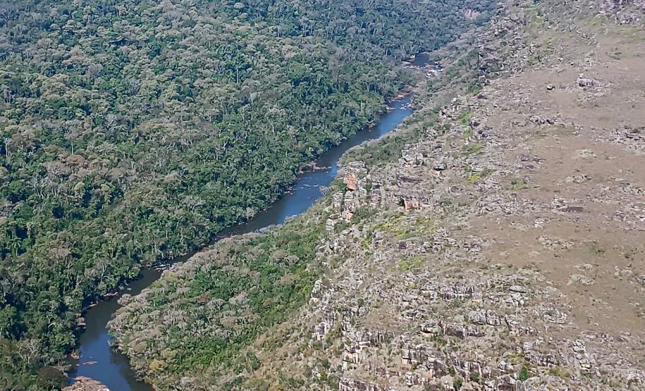 Com apoio de voluntários e helicóptero, IAT retira 58 hectares de pinus do Guartelá