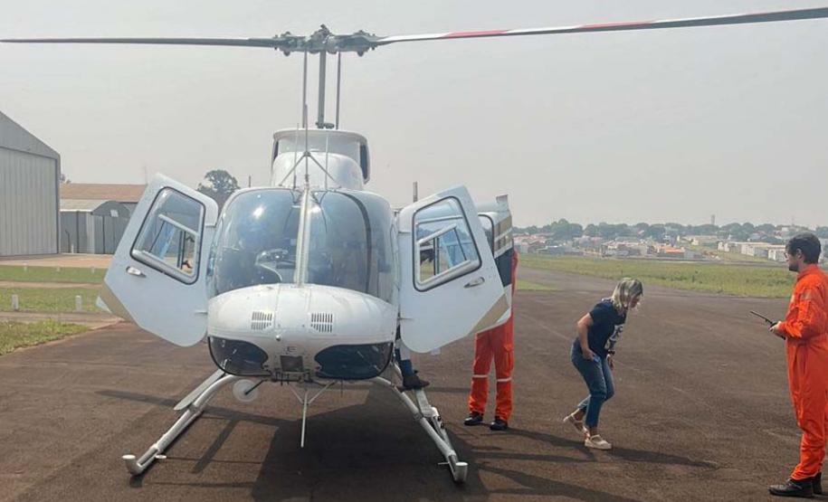 IAT cria metodologia para reestabelecer fauna em área incendiada mês passado