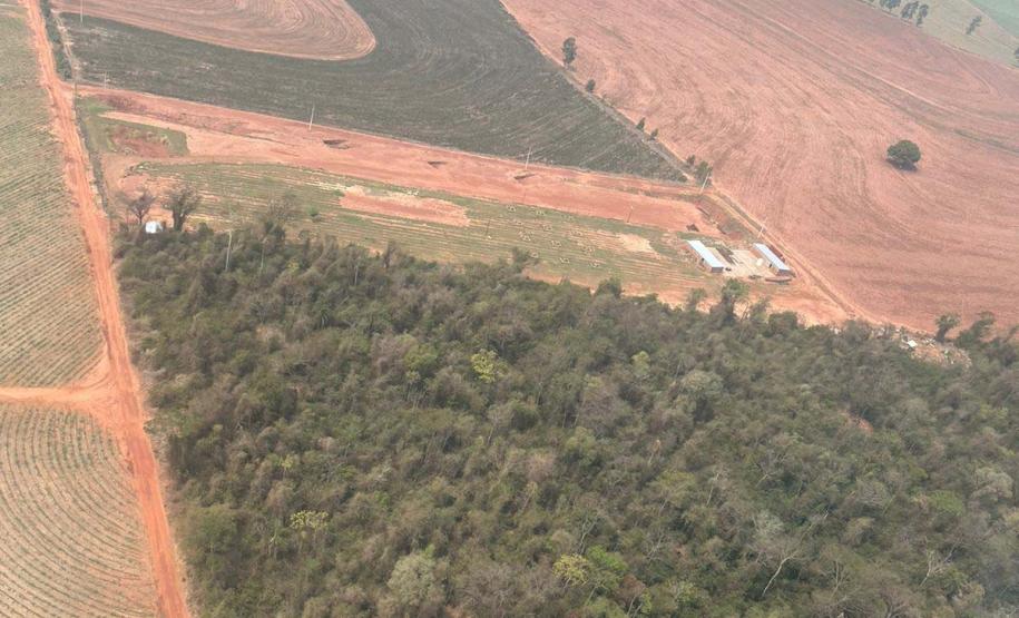 AT cria metodologia para reestabelecer fauna em área incendiada mês passado