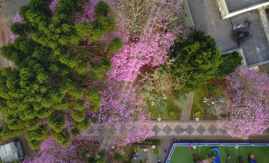 Simepar prevê primavera quente e com chuva abaixo da média histórica no Paraná
