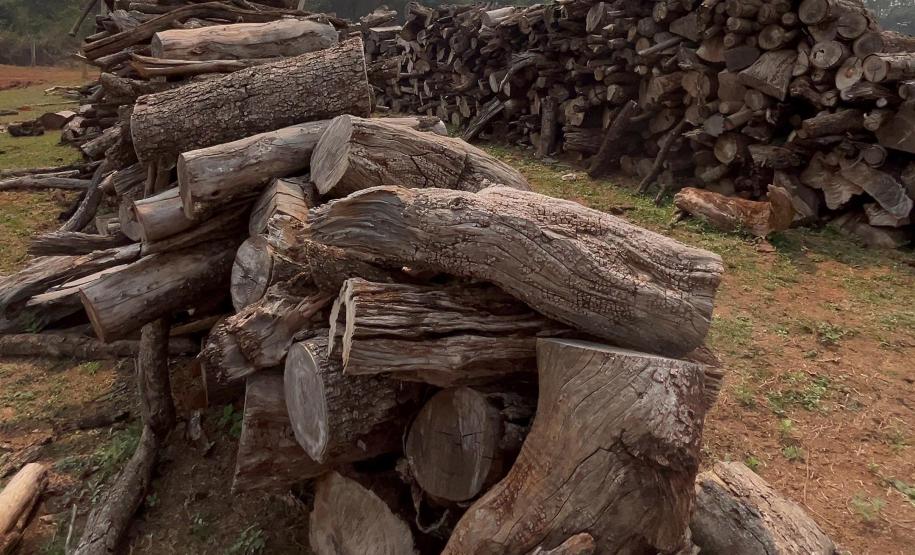 Fiscalização do IAT resultou em mais de R$ 400 mil em multas por desmatamento ilegal em Alto Paraíso